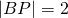 |BP|=2